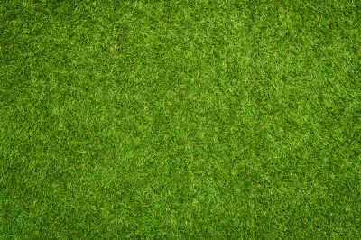 Synthetic Turf Installation