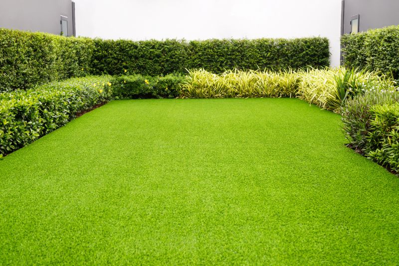 Maintenance of Synthetic Turf
