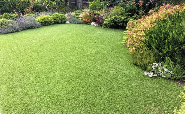 Synthetic Turf Management