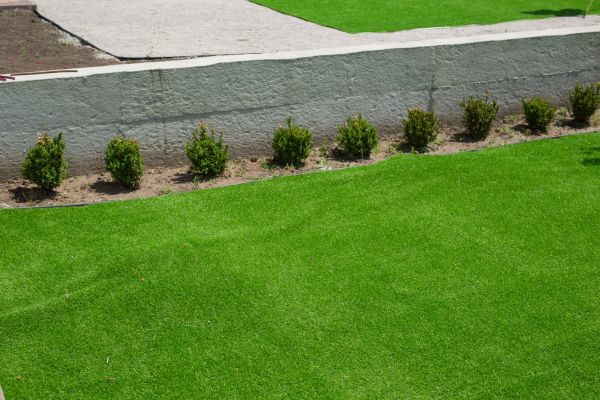 Artificial Lawn Preservation